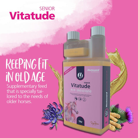 Vitatude Senior - Hestevard UK