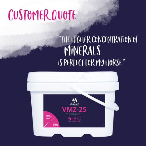 VMZ - 25 Multi - Vitamin - Hestevard UK