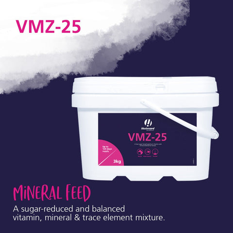 VMZ - 25 Multi - Vitamin - Hestevard UK