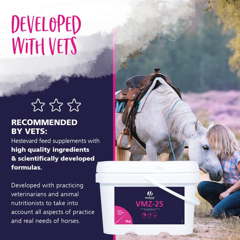 VMZ - 25 Multi - Vitamin - Hestevard UK