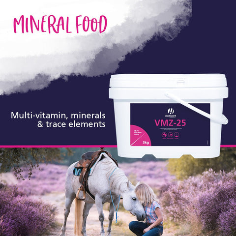 VMZ - 25 Multi - Vitamin - Hestevard UK