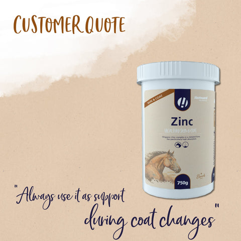 Zinc - Hestevard UK
