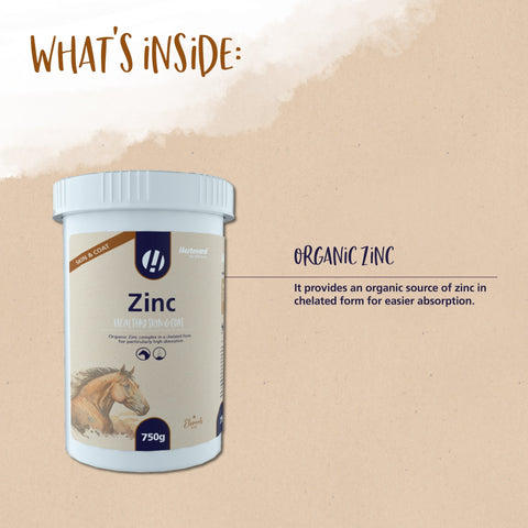 Zinc - Hestevard UK