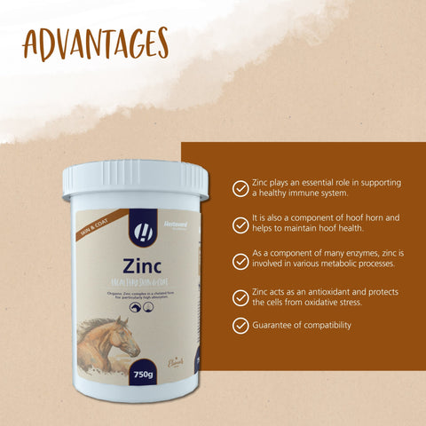 Zinc - Hestevard UK