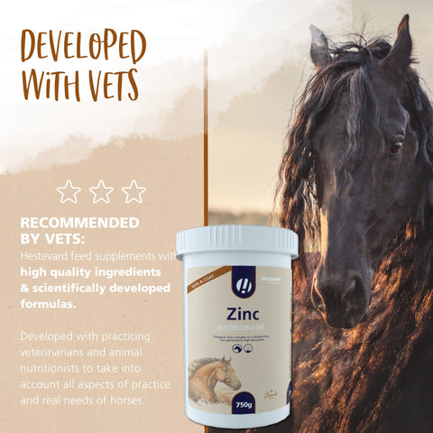 Zinc - Hestevard UK