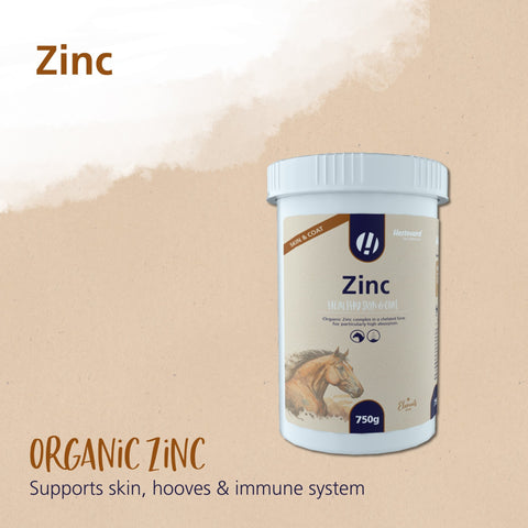 Zinc - Hestevard UK